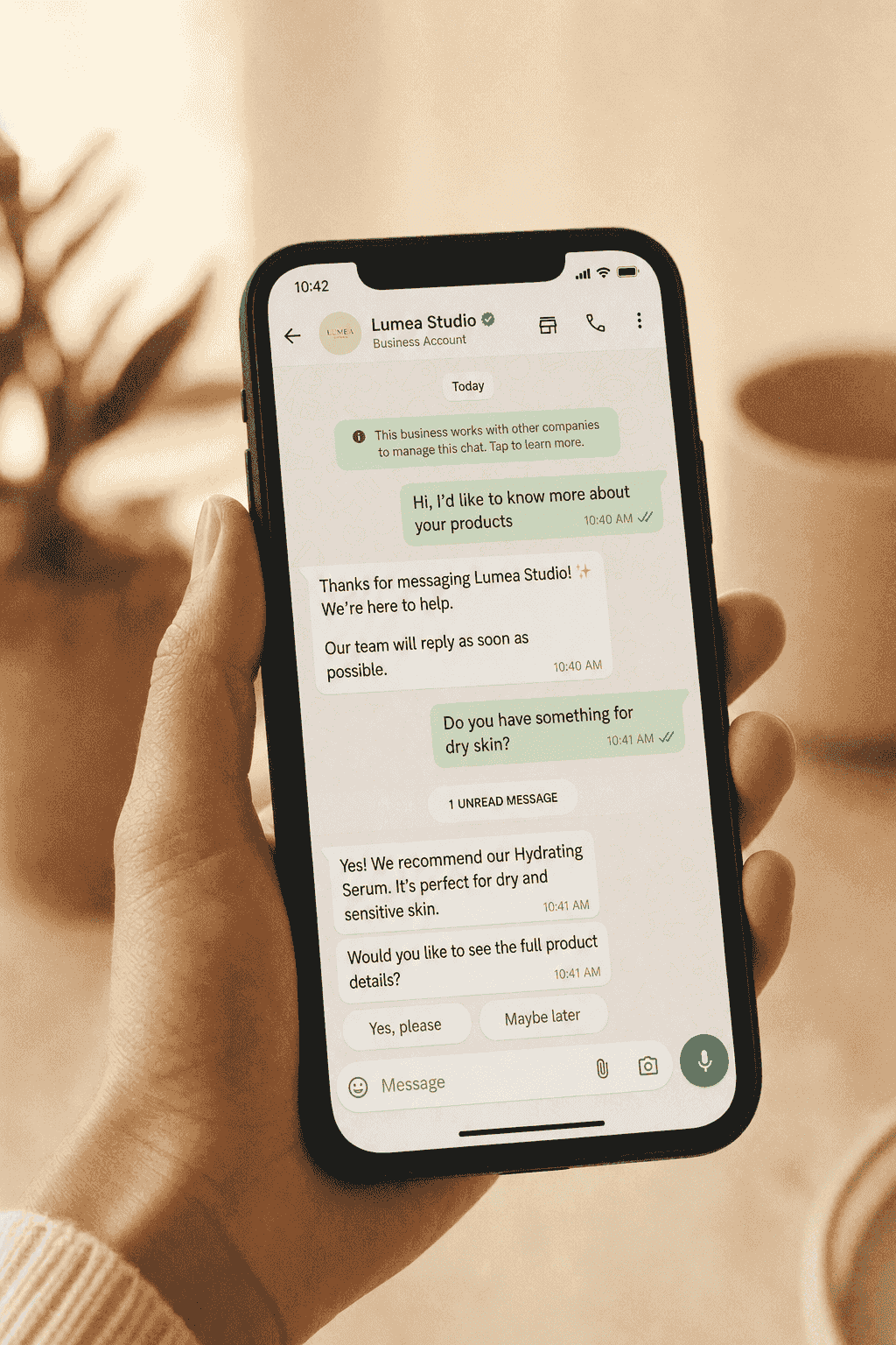 WhatsApp Business API