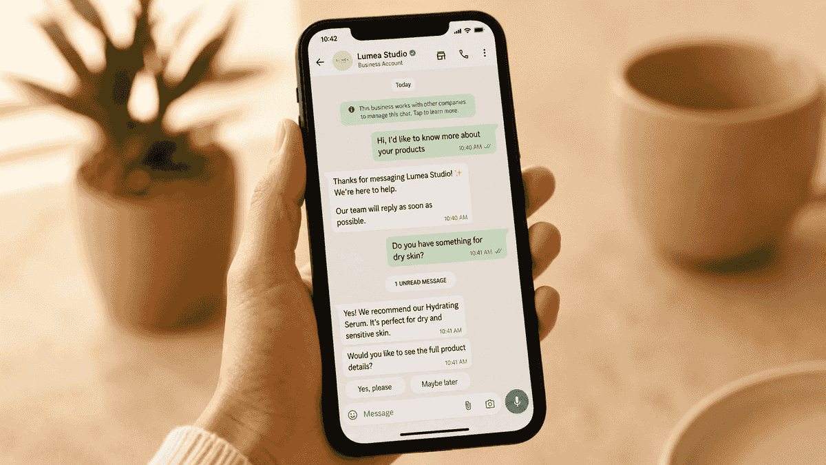WhatsApp API Integration Background