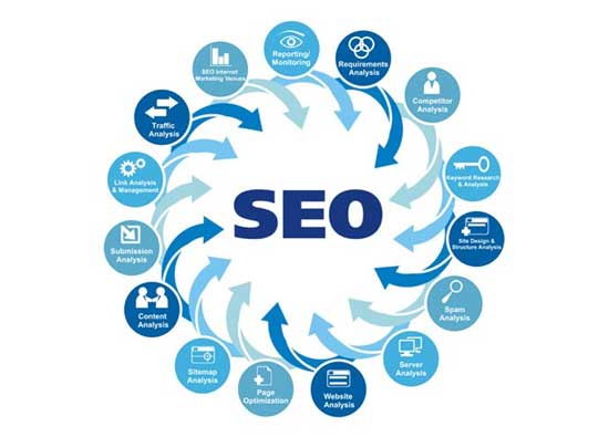 Seo jaipur